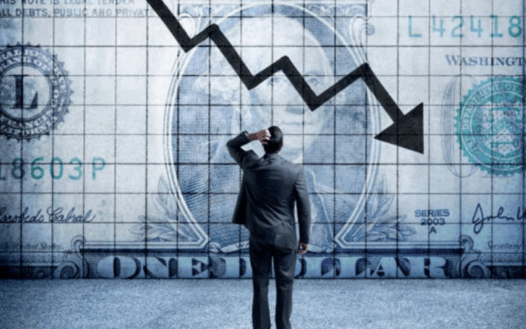 Organizational Financial and Strategic Report – Stakeholder Update
